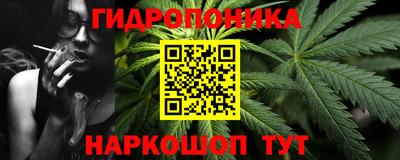 mdpv Краснознаменск