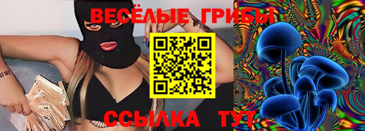 Камень-на-Оби  Псилоцибиновые грибы Cubensis  Вход с VPN  Псилоцибиновые грибы MAGIC MUSHROOMS 